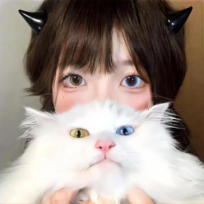 谜宫